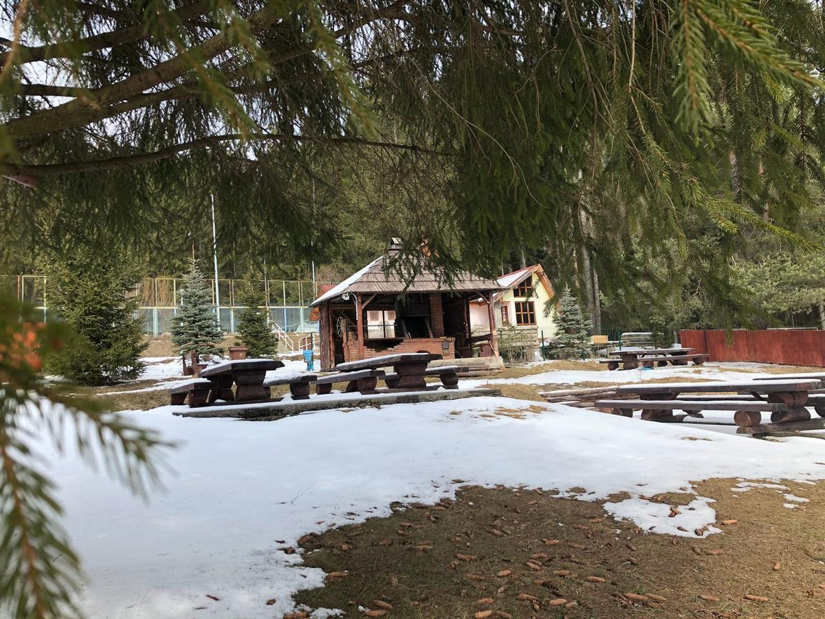 Pensiunea Vanatorul Vatra Dornei Buitenkant foto
